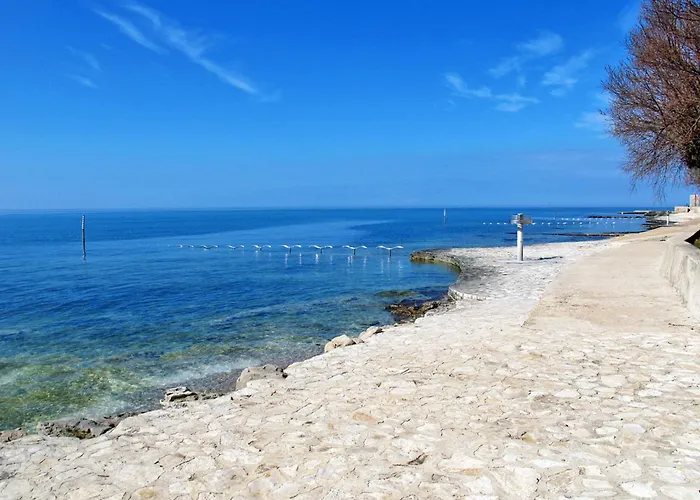 Apartman Rotonda Inn-2 By Interhome Novigrad Istria